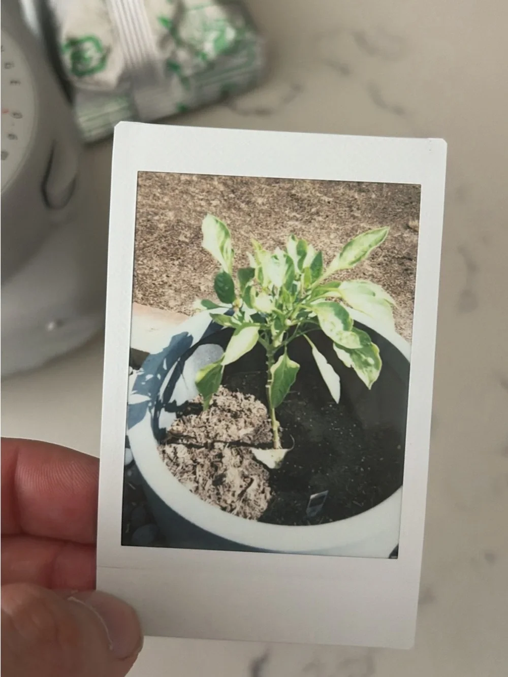 Fujifilm Instax Mini 9 Instant Camera - with Wrist Strap